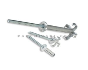 میخ پرچ افشان